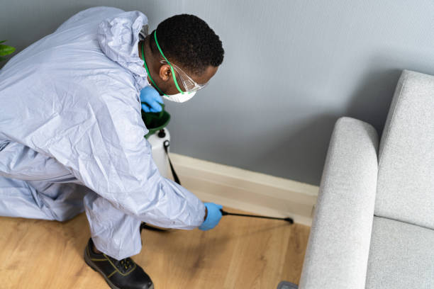 Best Bed Bug Extermination  in Cutlerville, MI